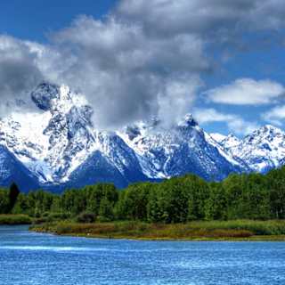 Ancient Forest Found Under Rockies