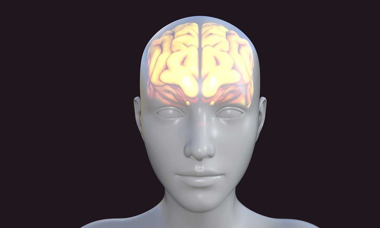 Brains process language under anesthesia, study finds