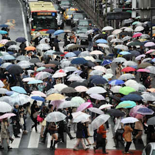 Mathematicians Discover Key to Crowd Movement