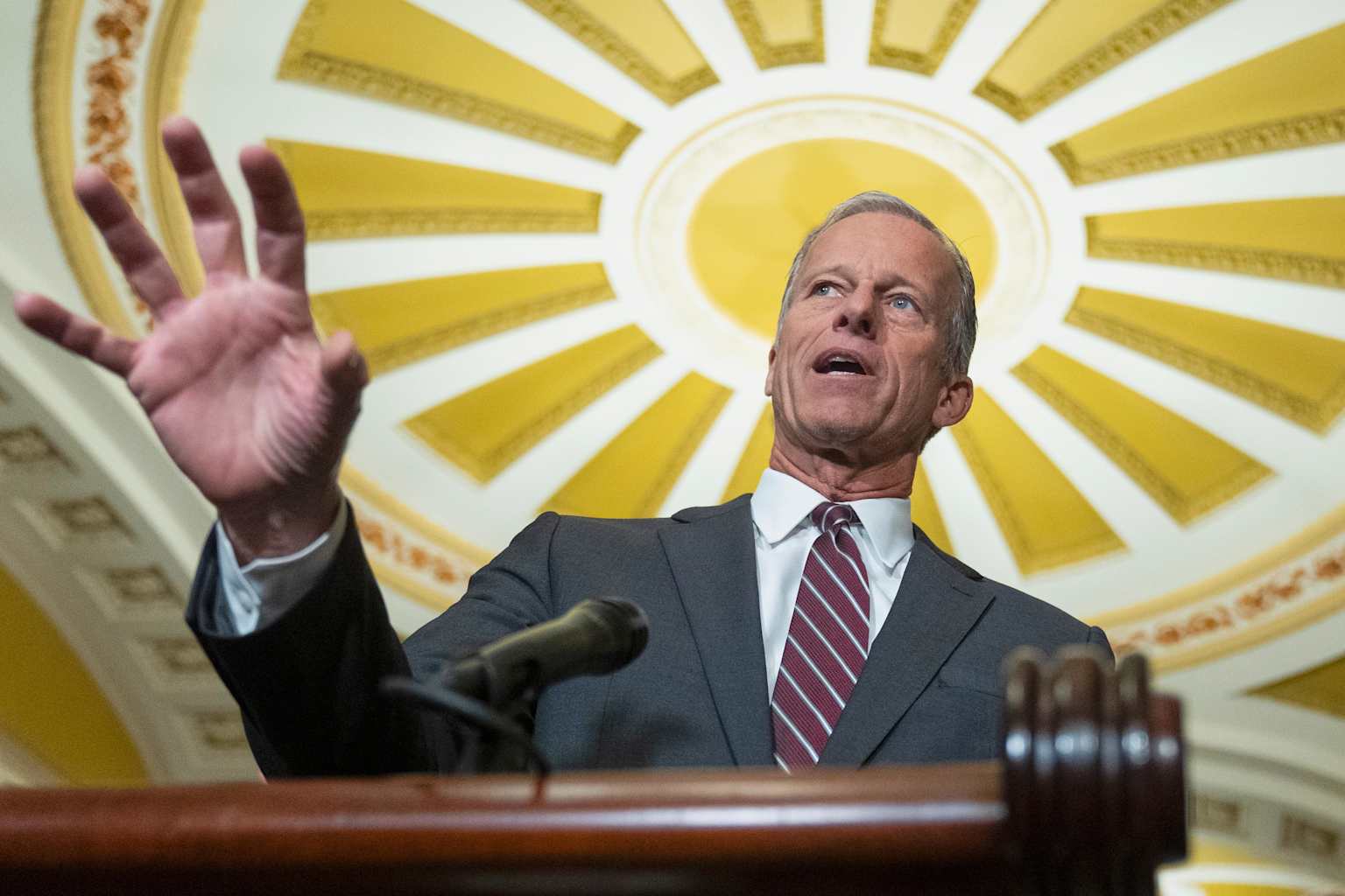 Senate referee hampers GOP's plans for states to share food ...
