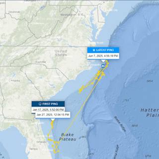 Record-breaking great white shark resurfaces off North Carolina