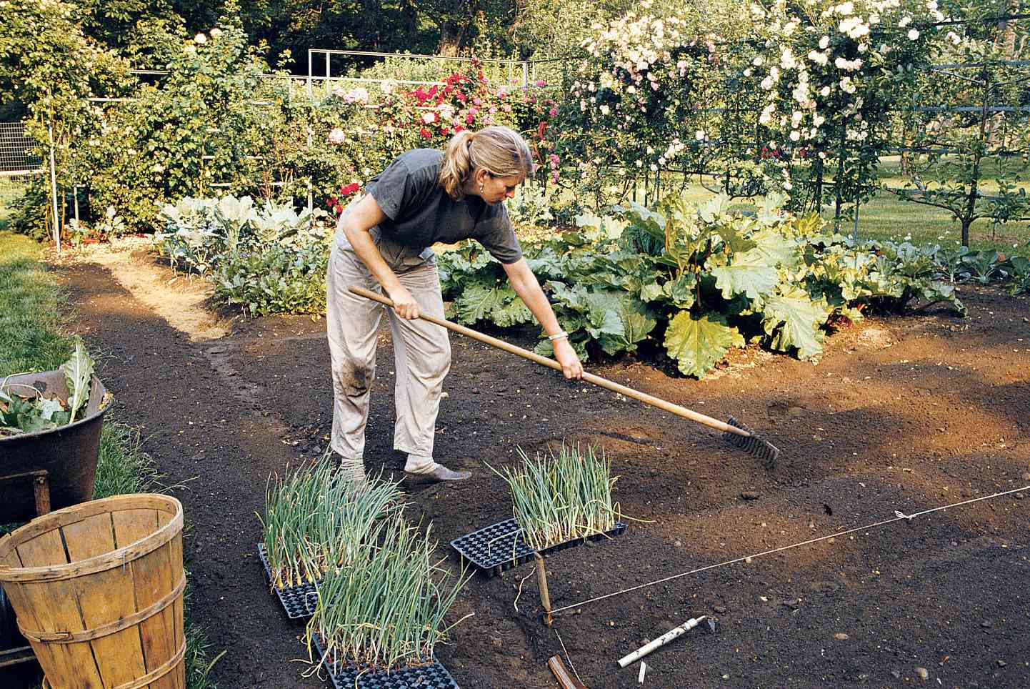 Martha Stewart gardening
