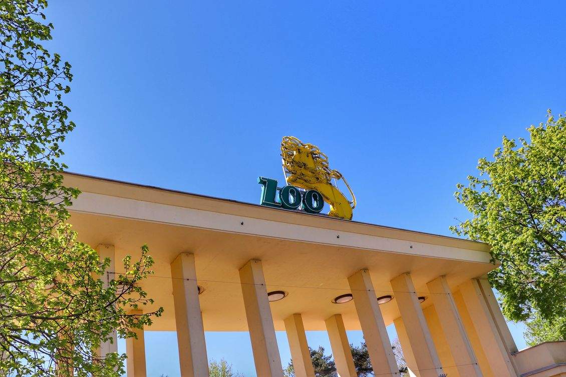 Золотой лев у входа