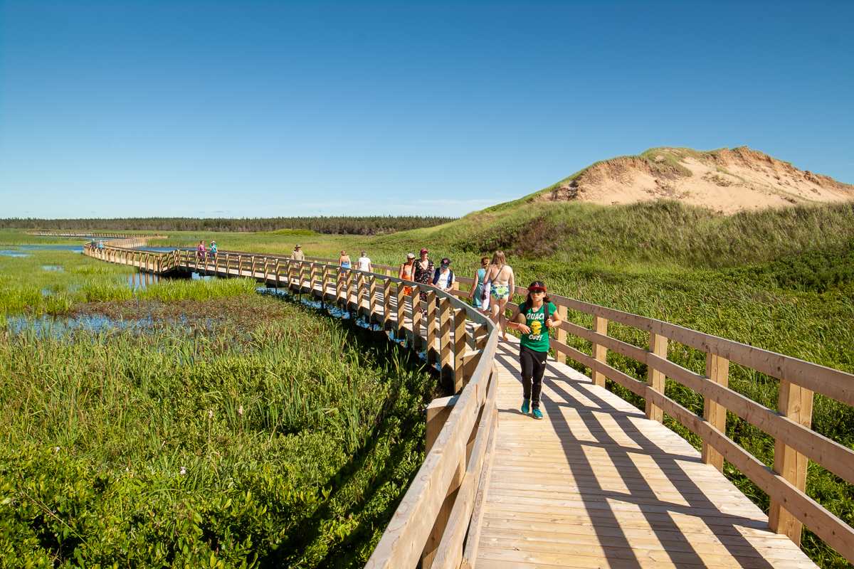 Greenwich Dunes floating boardwalk trail, PEI National Park