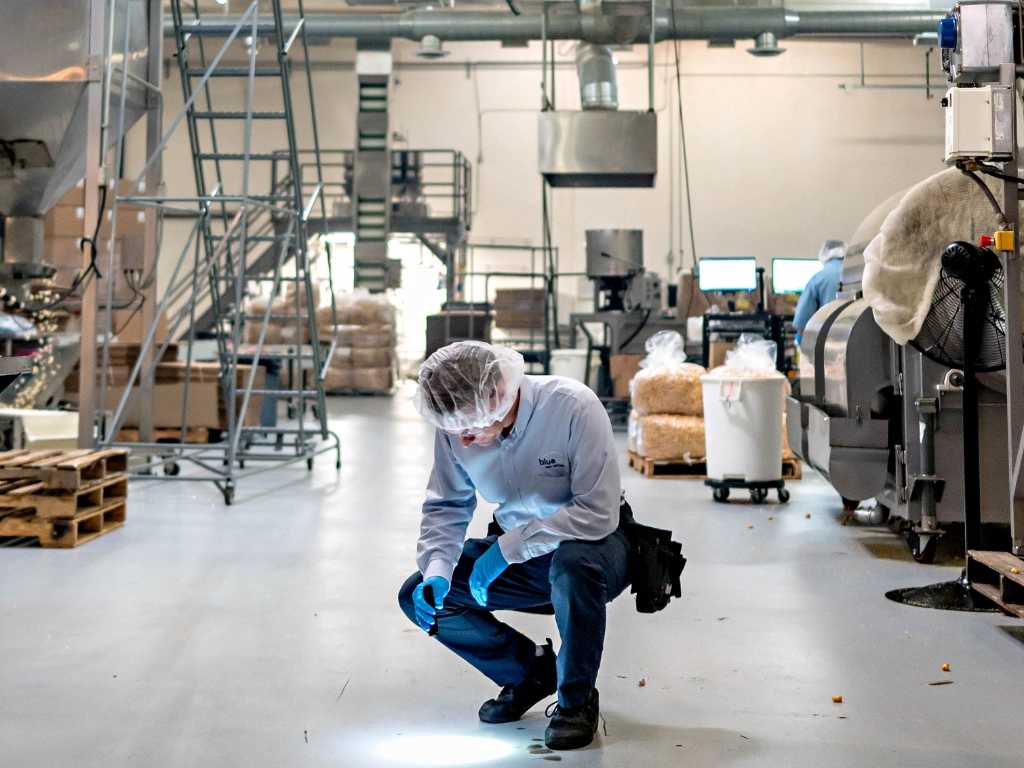 Food processing facility pest inspection flashlight Toronto Nomore Pest