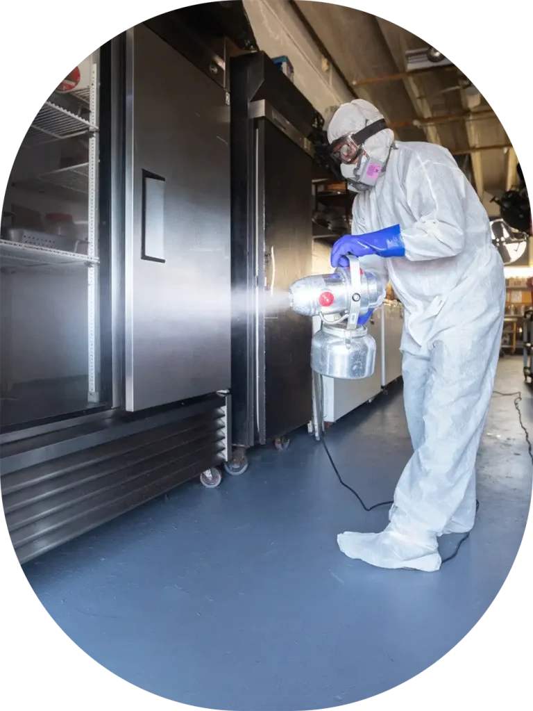 Food Industry Pest Control Toronto Nomore Pest