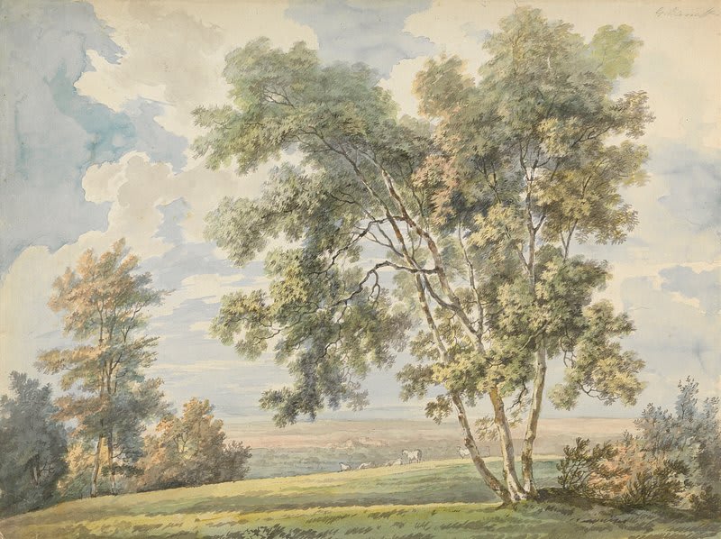 Paysage