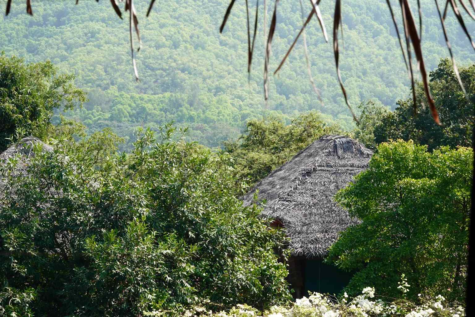 Retreat
