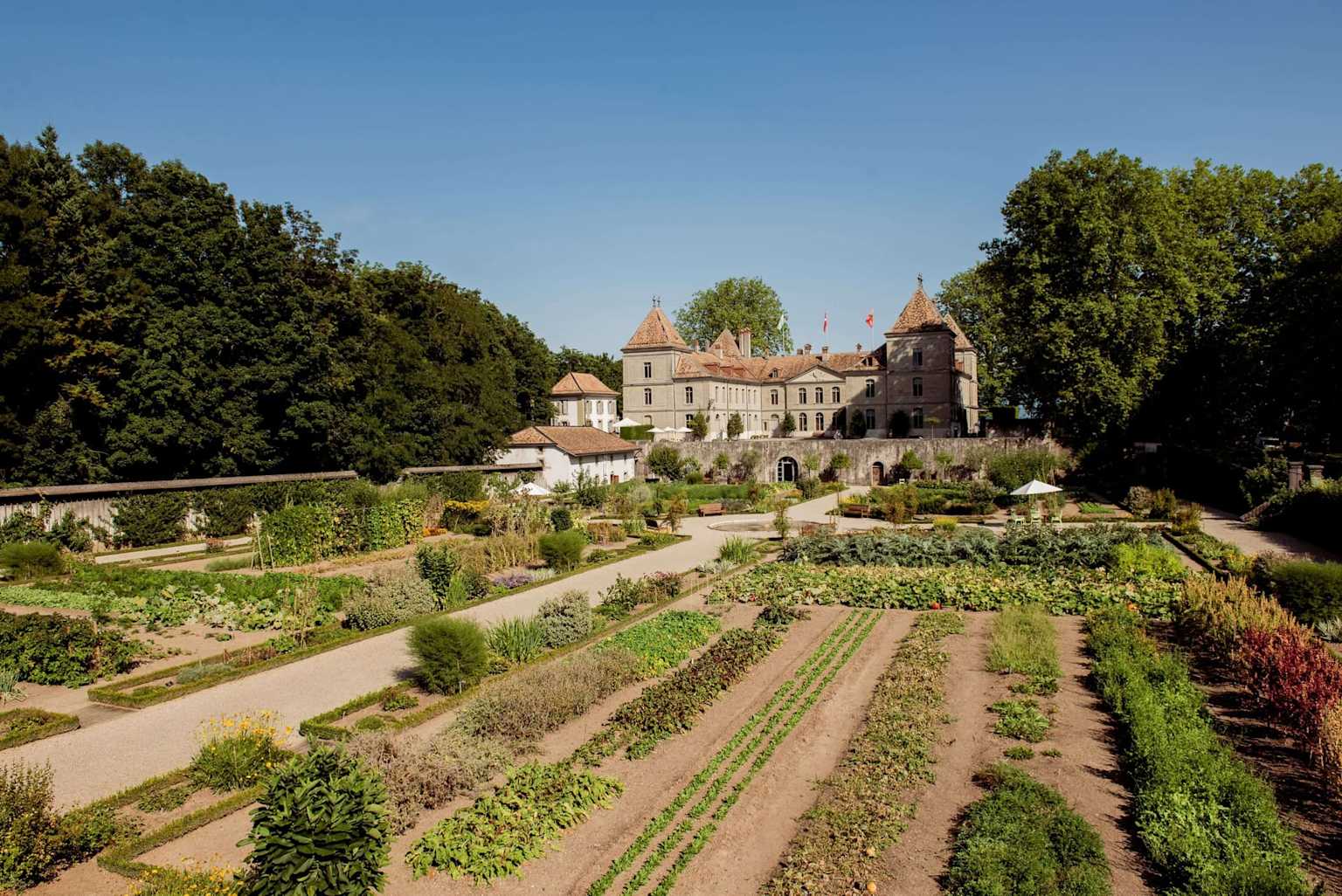 Aerial view potager historique Prangins vegetable garden château