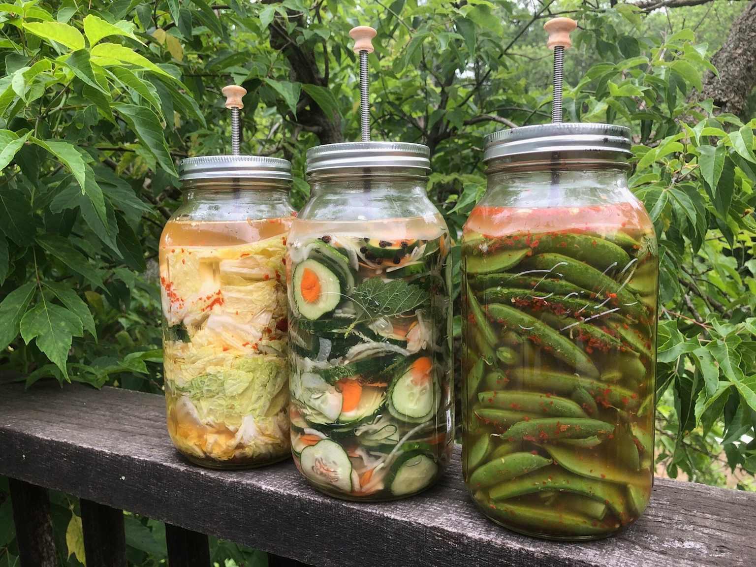 Drei Fermentiergläser mit Sauerkraut, Gurken und grünen Bohnen – Fermentieren ohne Schimmel