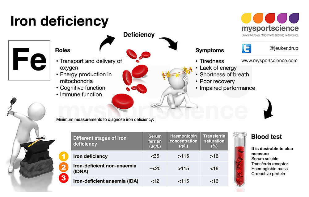Educational diagram explaining iron deficiency stages showing symptoms including fatigue and poor performance, the role of iron in oxygen transport and energy production, with blood test reference ranges for serum ferritin, serum iron, and transferrin saturation