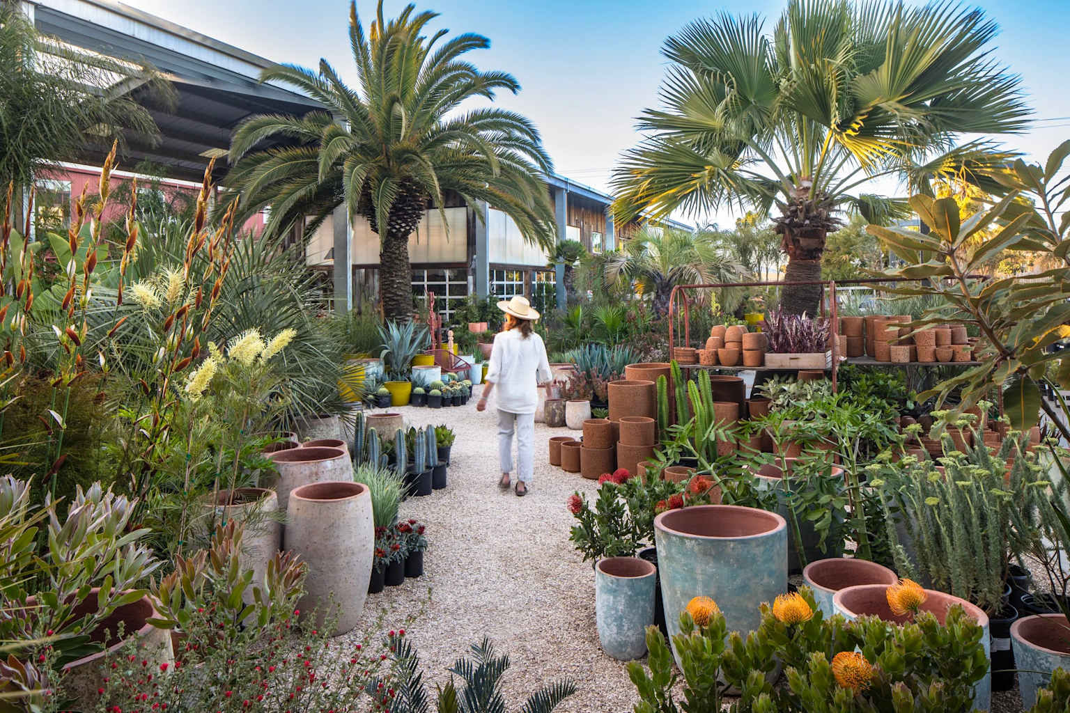 Krzewy ozdobne i byliny