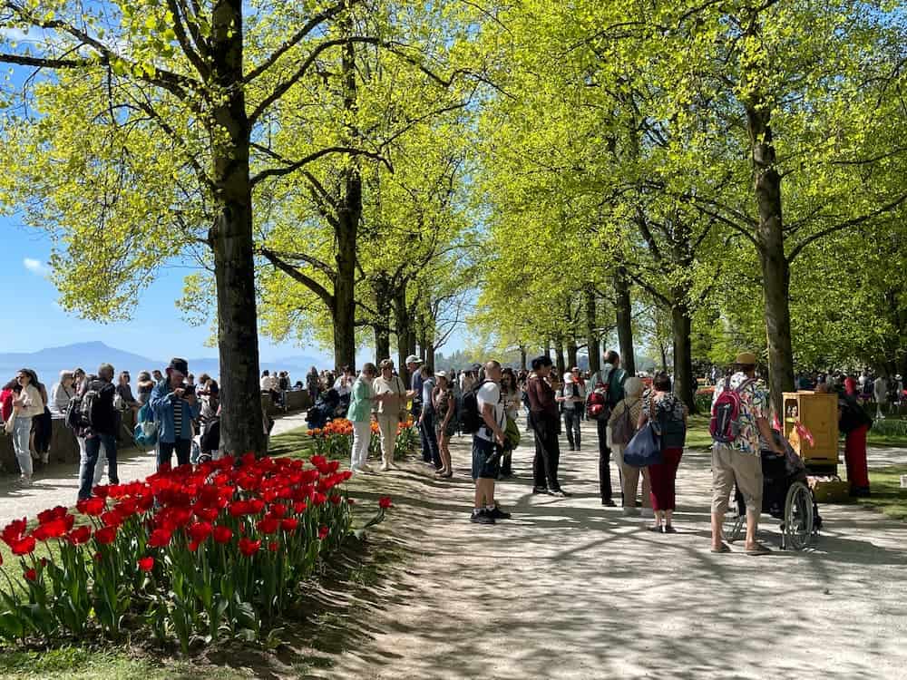 Morges Tulip Festival real photo