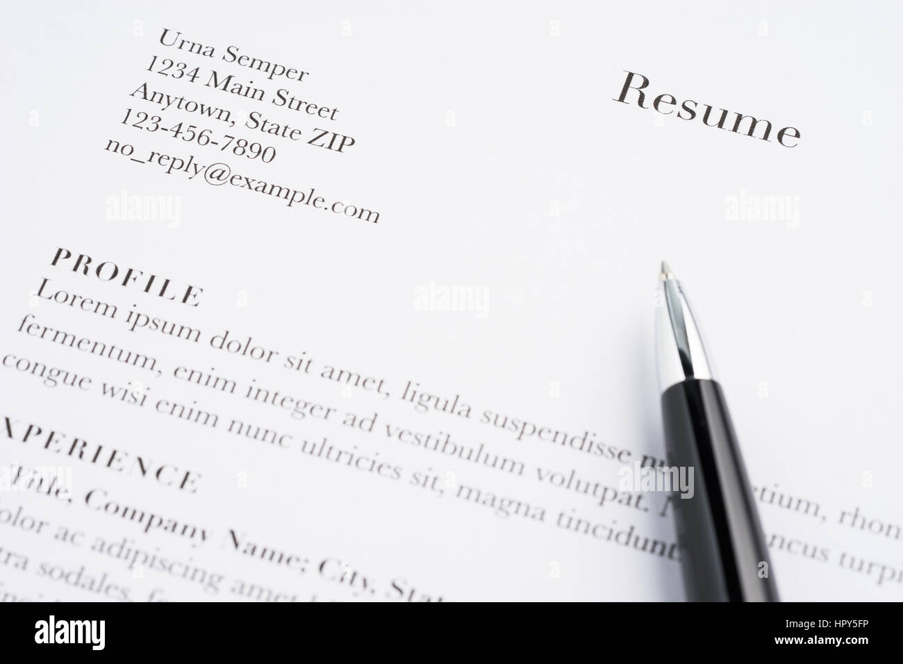 Professionally written resume document