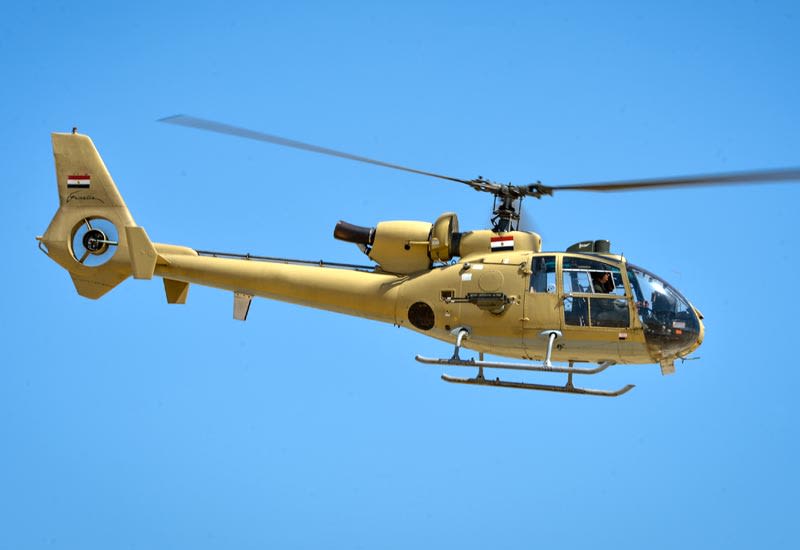 Gazelle