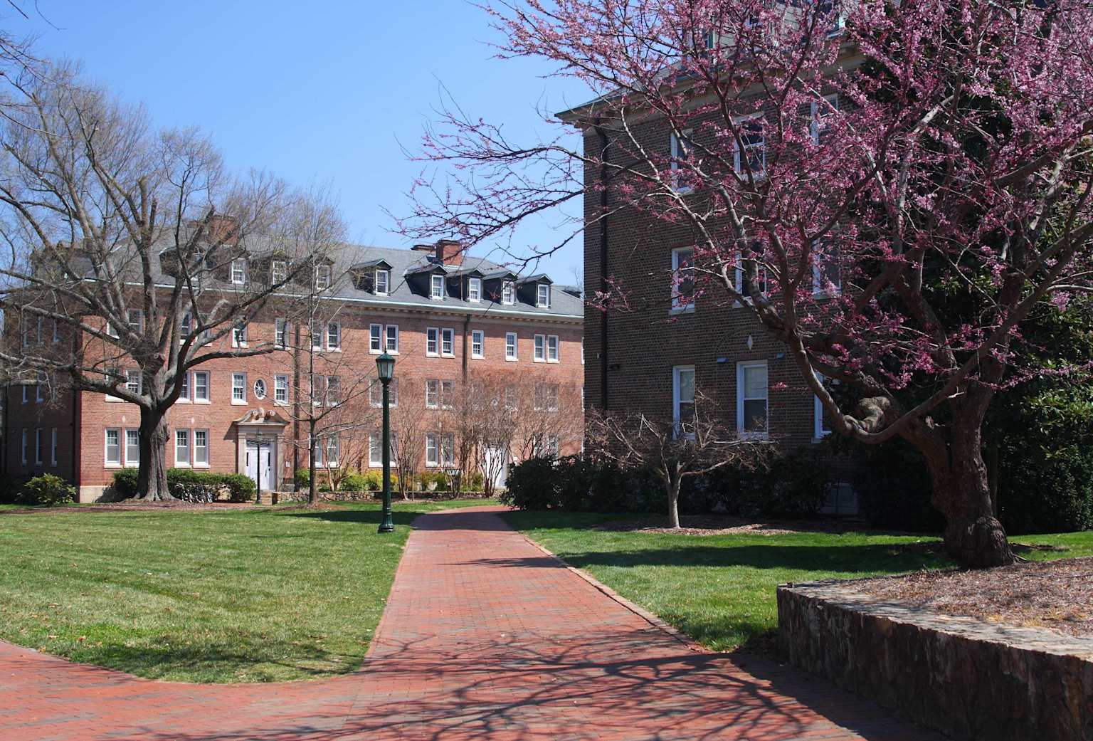Lincoln University
