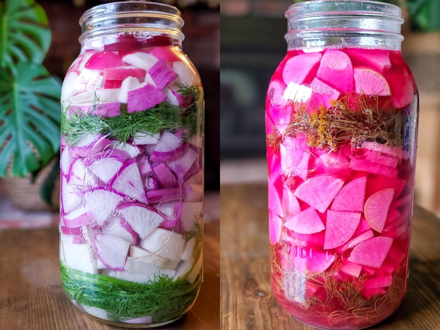 Zwei Gläser mit fermentierten Radieschen, Dill und Knoblauch auf Holztisch