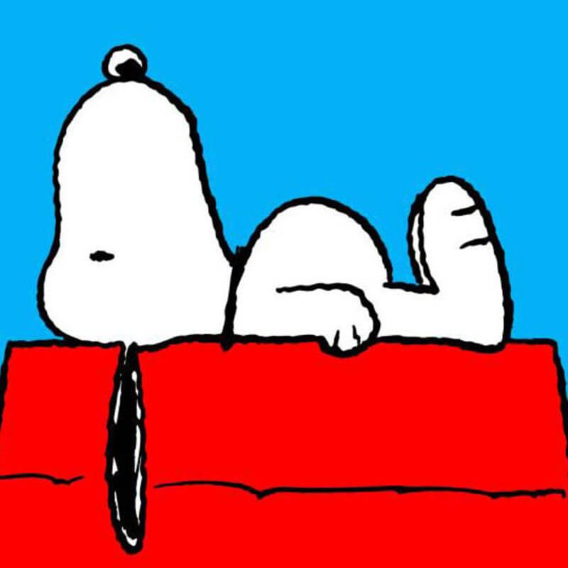 Snoopy on his doghouse