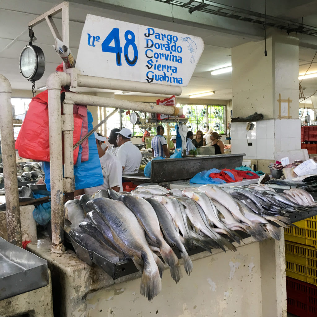 Mercado de Mariscos Panama City fresh fish stalls
