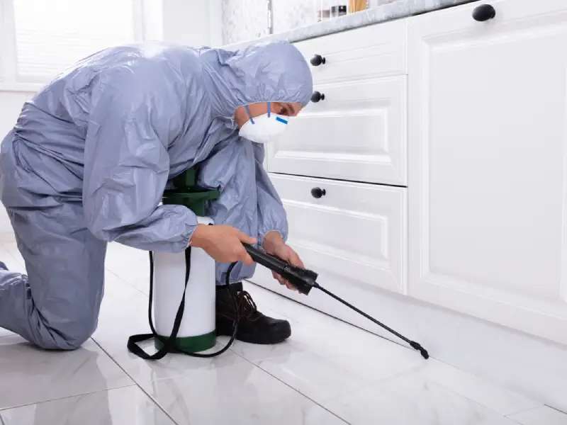 Pest control kitchen treatment residential Toronto Nomore Pest