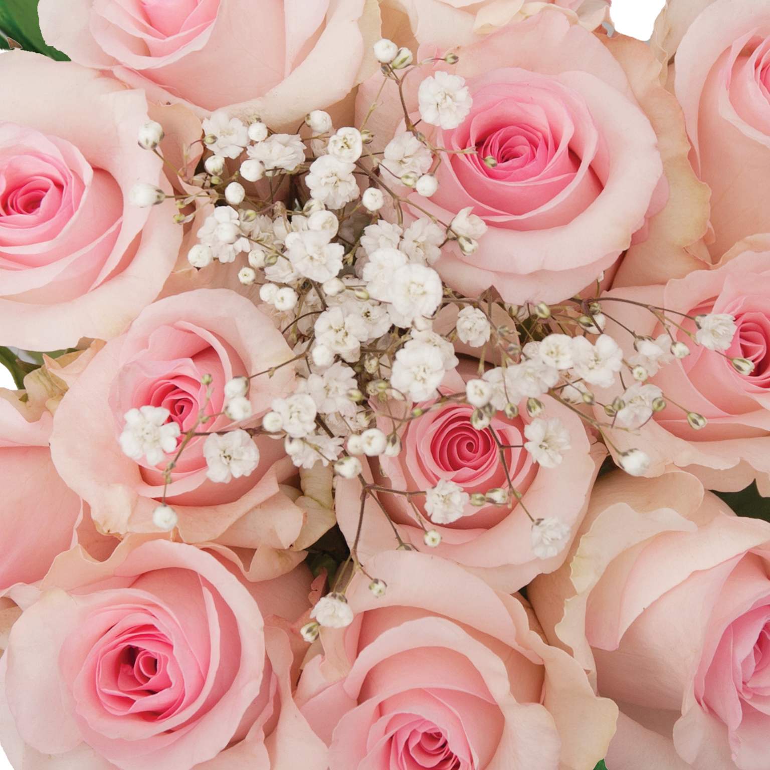 Ramo de rosas rosadas