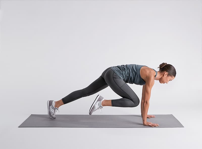 Mountain Climbers