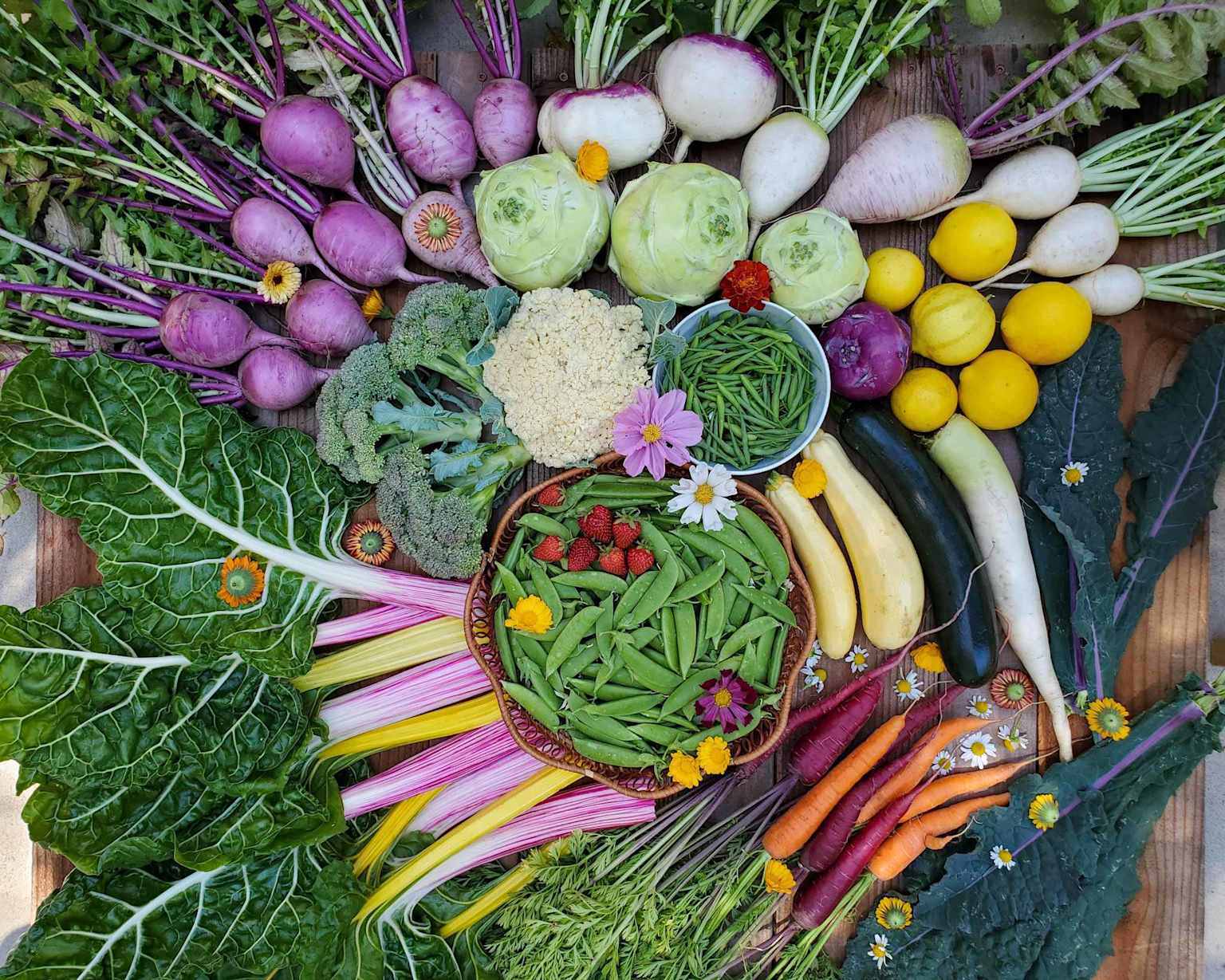Nachhaltige Ernährung leicht gemacht – pflanzlich und gesund leben