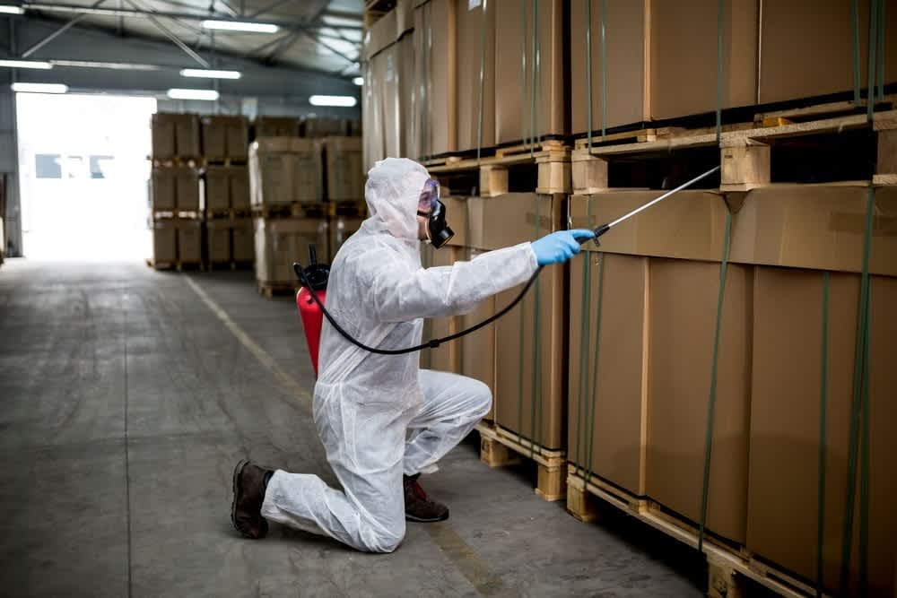 Commercial pest control spraying Toronto Nomore Pest