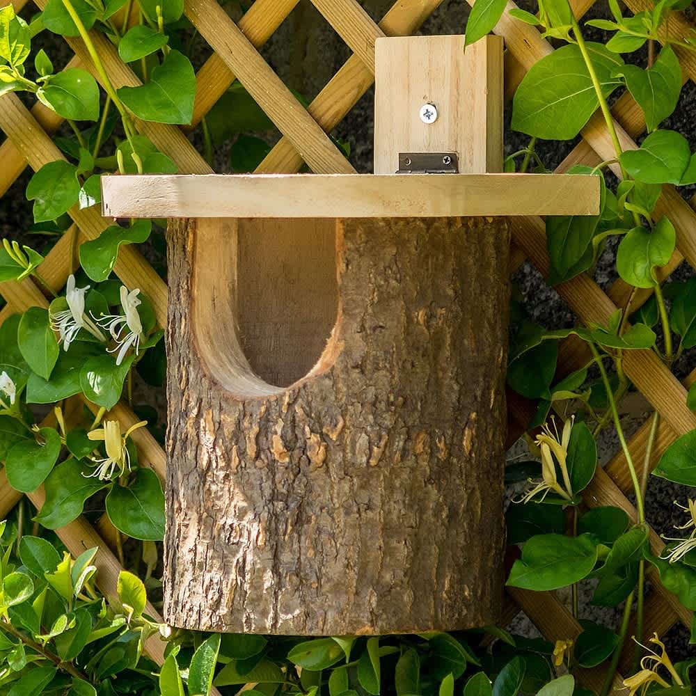 Wooden log-style open-fronted robin nest box mounted on a lattice trellis surrounded by green vines
