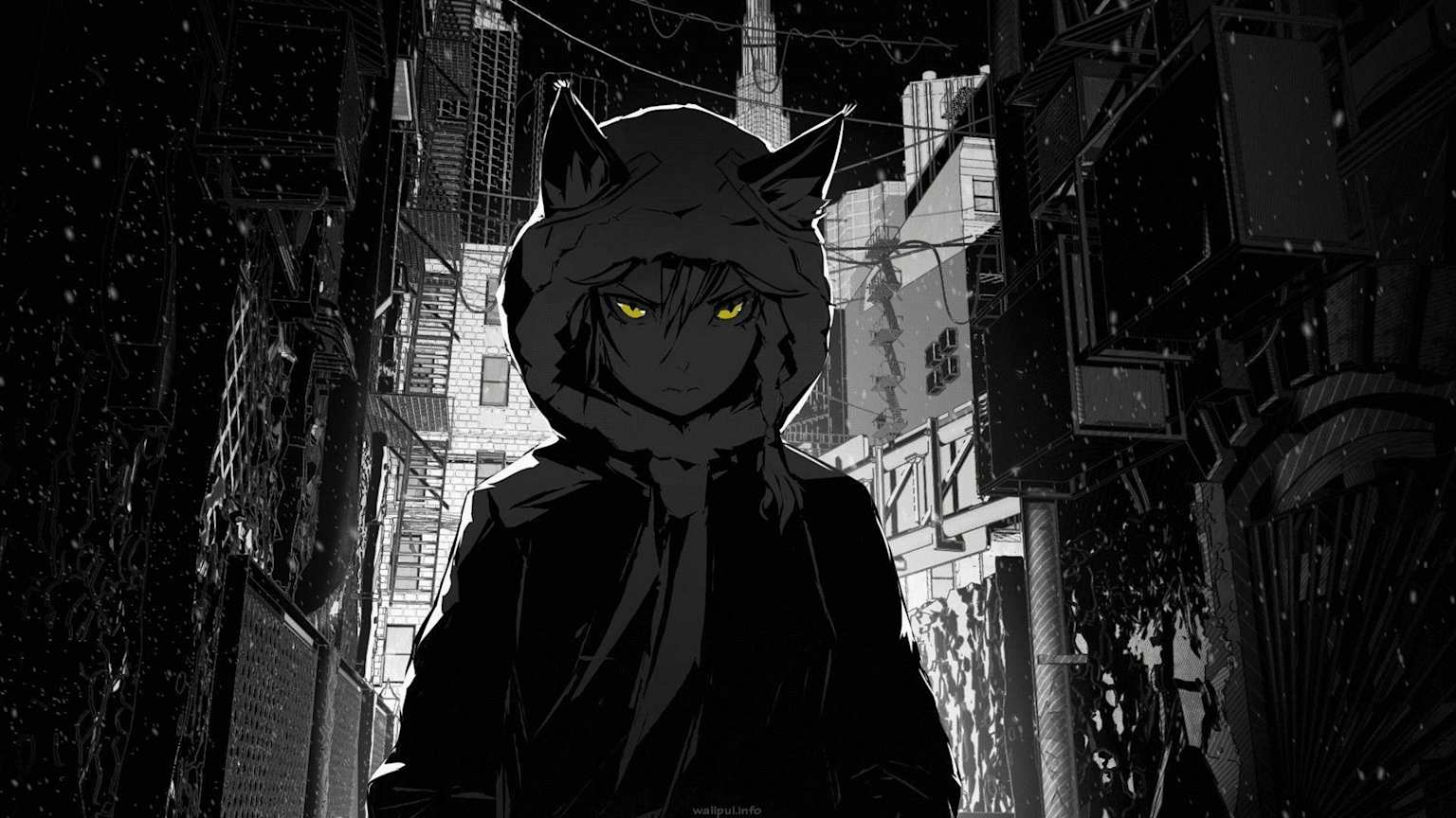 furkancan