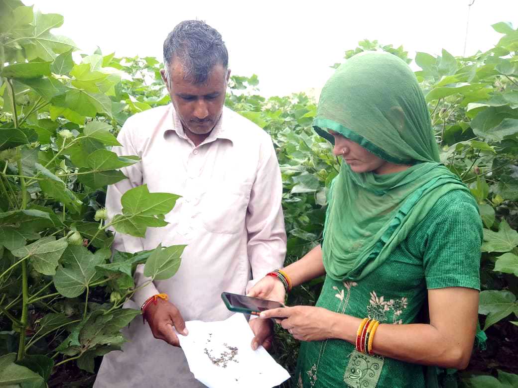 Indian couple in a green field checking crop details on a smartphone while using an AI based agriculture app