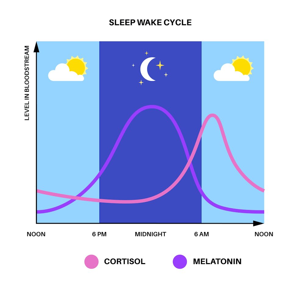 Line graph showing cortisol levels in pink and melatonin levels in purple over a 24-hour period, illustrating how melatonin peaks overnight while cortisol troughs — the inverse hormonal relationship driving the body temperature overnight curve