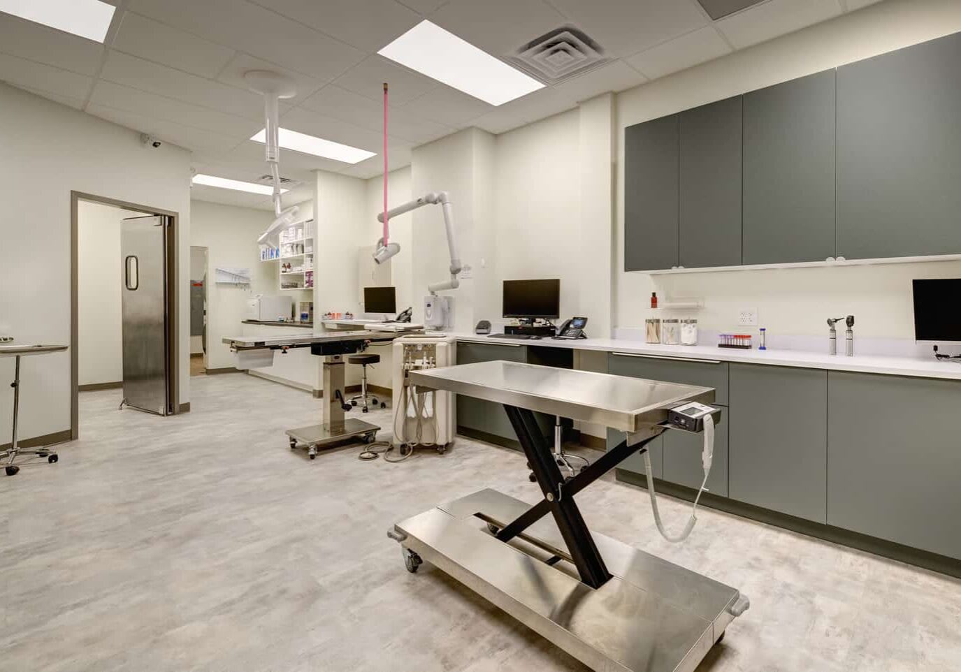 Veterinary surgery suite
