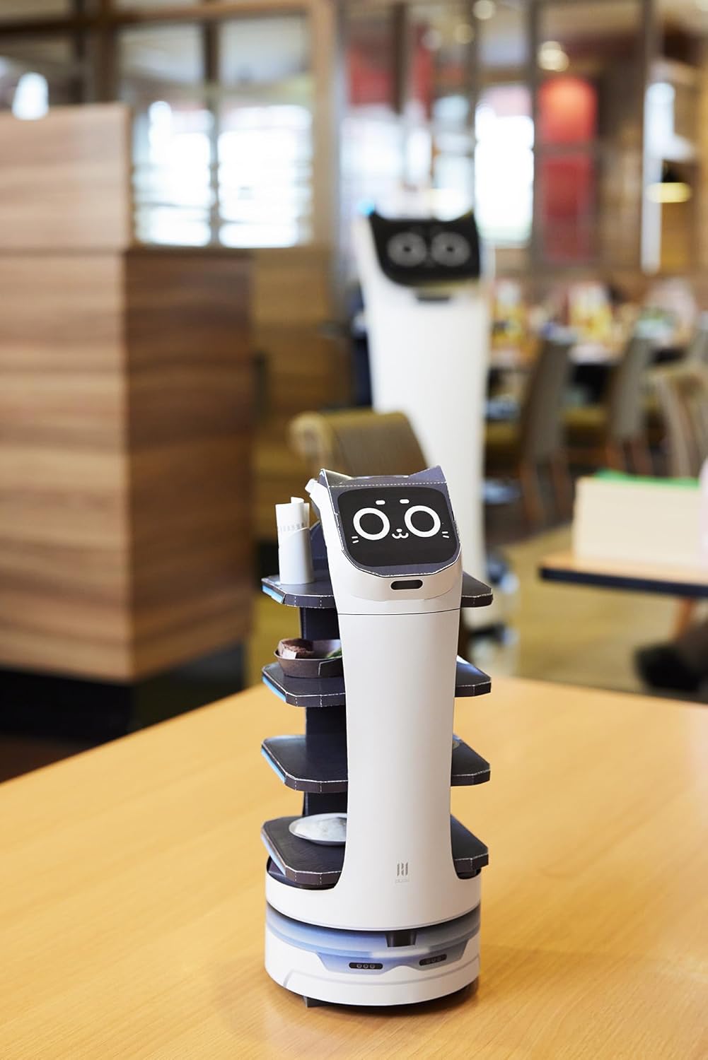 BellaBot Pro