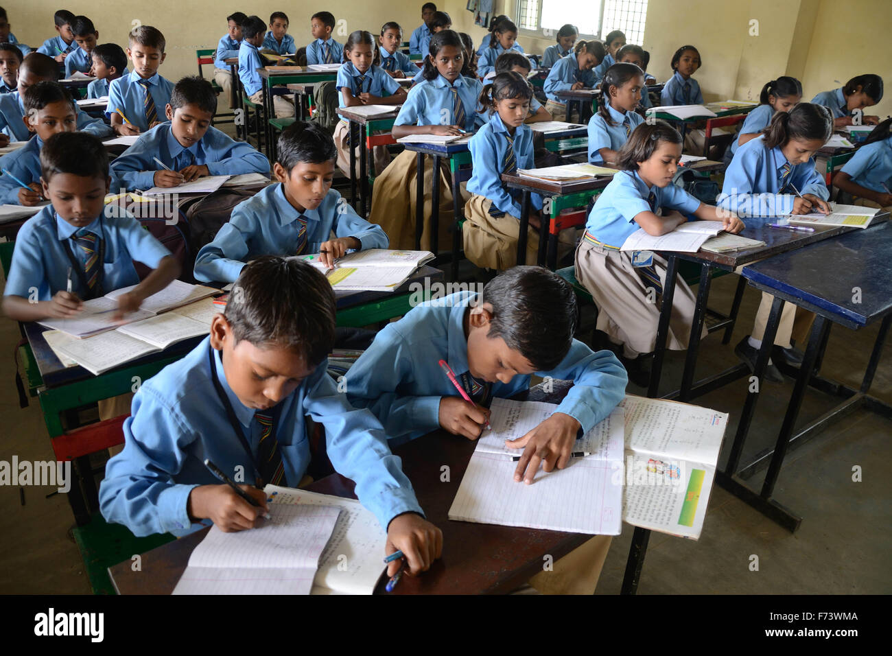 Students studying attentively inside a school classroom