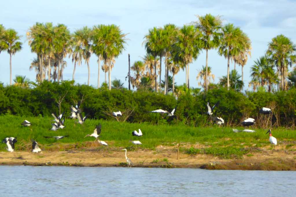 Natural recreation landscape in Paraguay