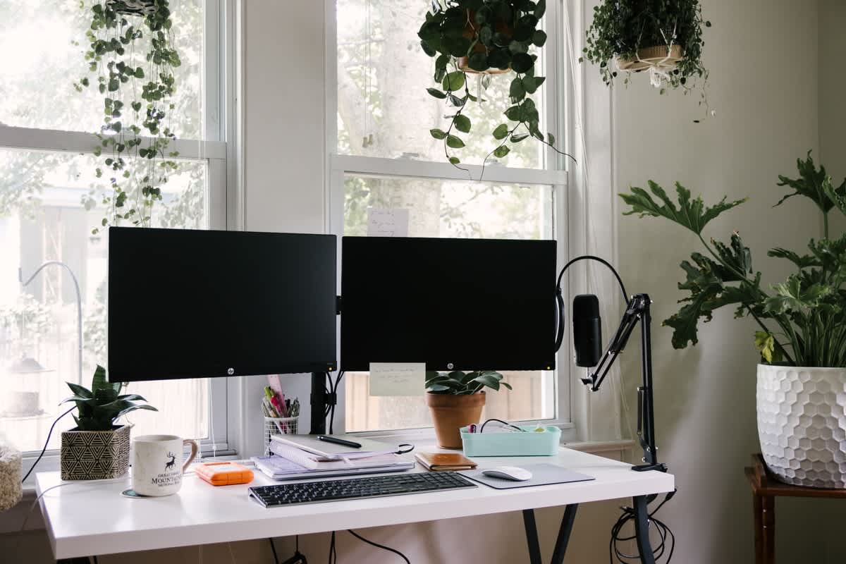 Modern desk setup with plants and screens