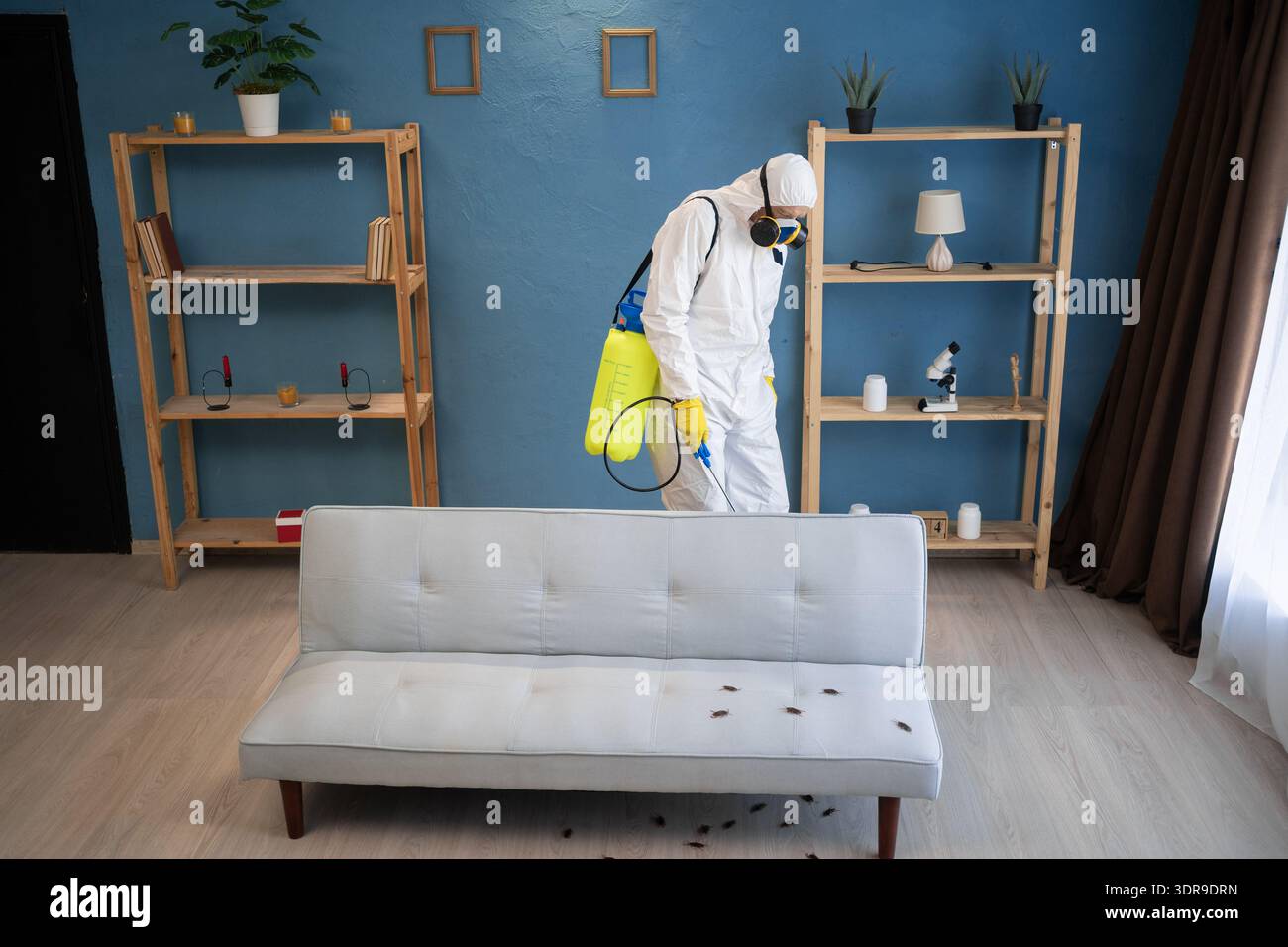 Pest control treatment living room home Toronto Nomore Pest