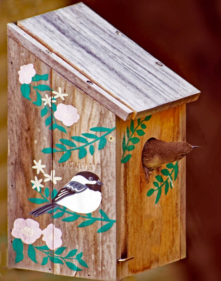 House Wren perched at the entrance hole of a wooden birdhouse — demonstrating how cavity nesters grip the hole directly without needing a perch