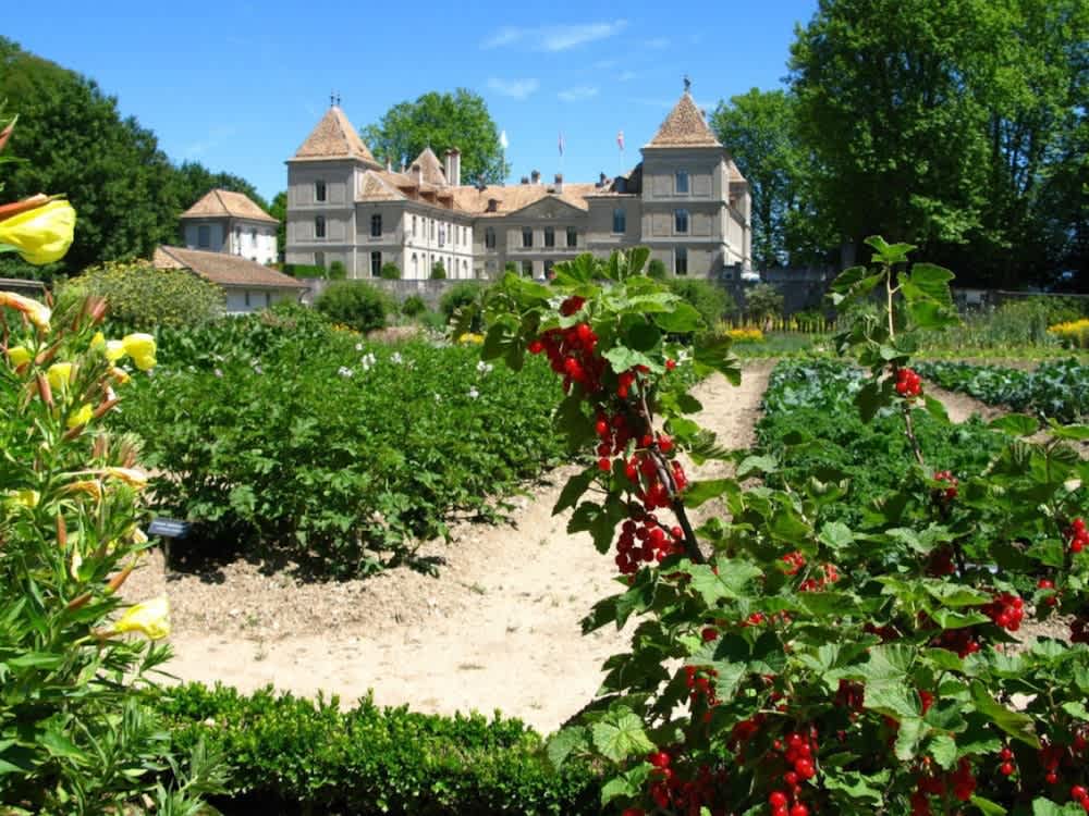 Chateau de Prangins with flower gardens front