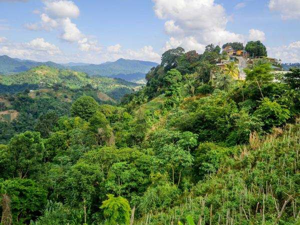 Lush green hills and forested landscape