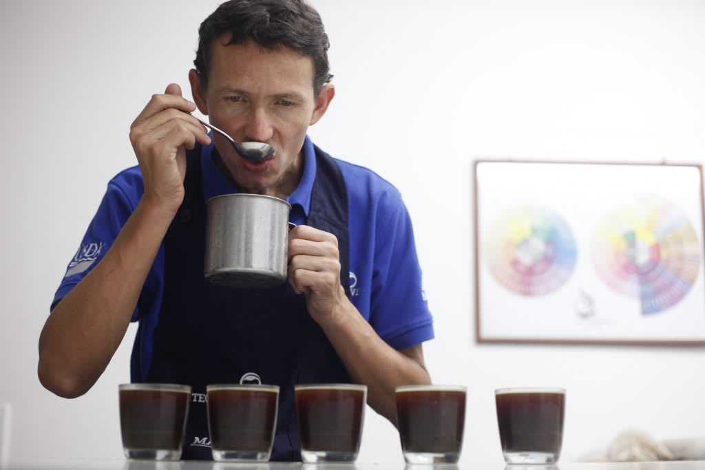 Control de calidad por cupping