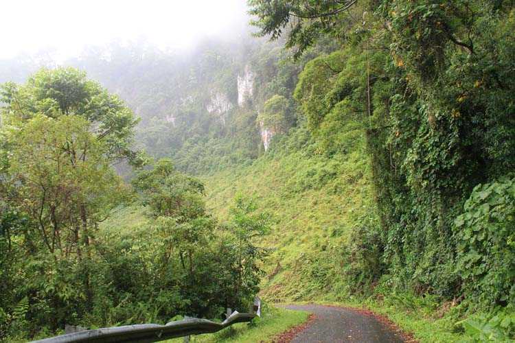 Boquete Panama misty cloud forest road