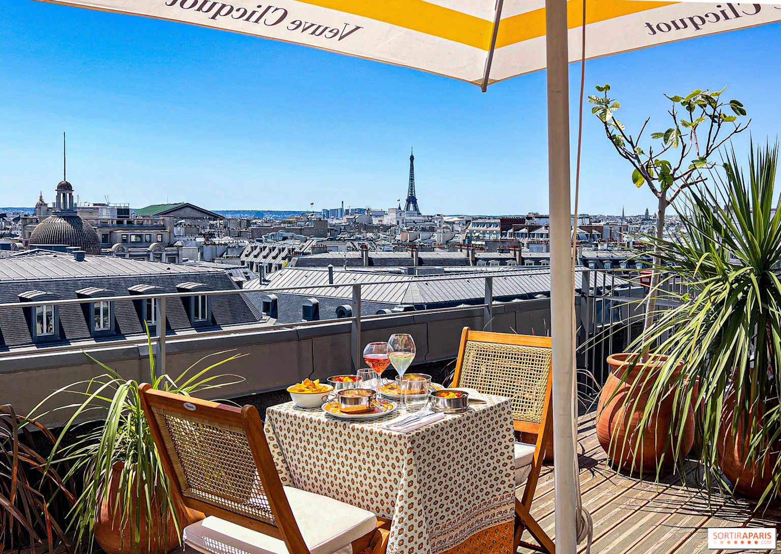 Terrasse avec vue sur la Tour Eiffel à Paris