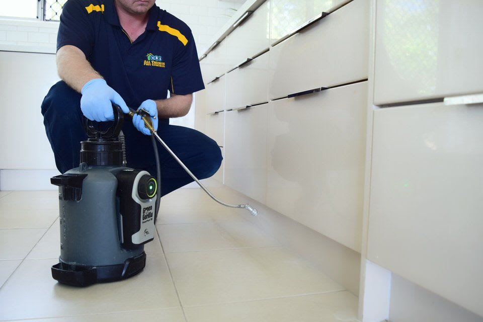 Pest control technician spraying kitchen cabinets ant treatment Toronto Nomore Pest