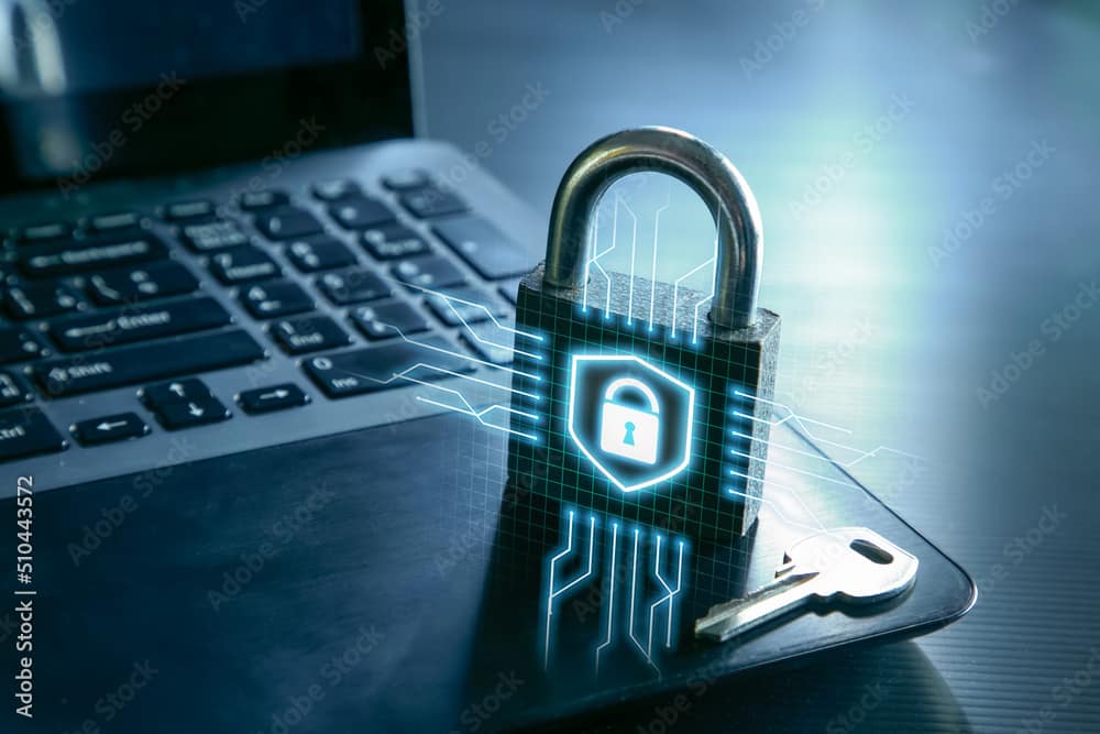 Website Security & Penetration Testing