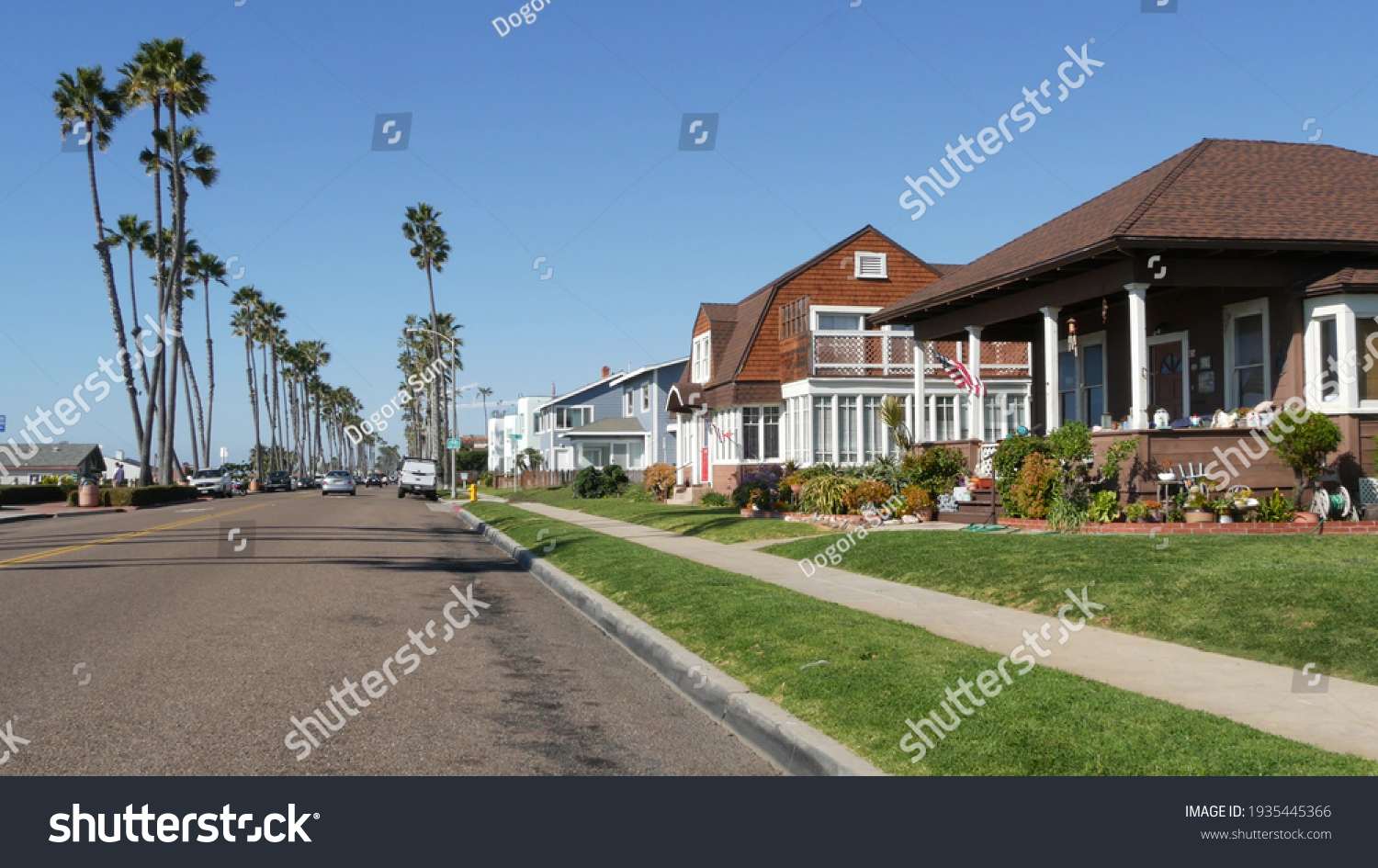Palm-lined suburban street in California