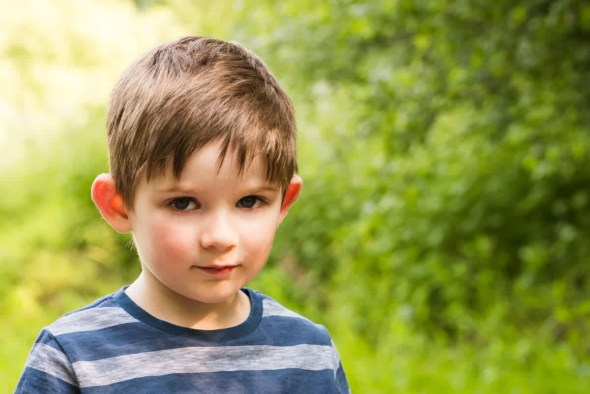 Shallow depth of field bokeh pink flower sharp focused