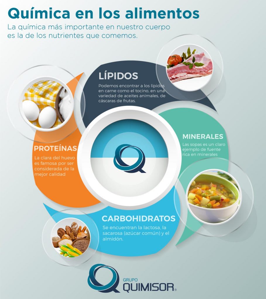 Infografía elementos químicos en los alimentos de la vida cotidiana: proteínas con huevos y carne (nitrógeno, azufre), lípidos con aceite y mantequilla (carbono, hidrógeno), carbohidratos con pan y maíz (carbono, oxígeno) y minerales en sopas y verduras (calcio, hierro, zinc, potasio)
