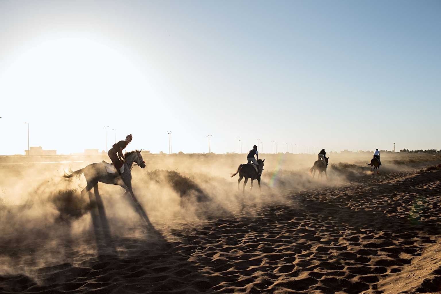 Arabian horses charging at dawn
